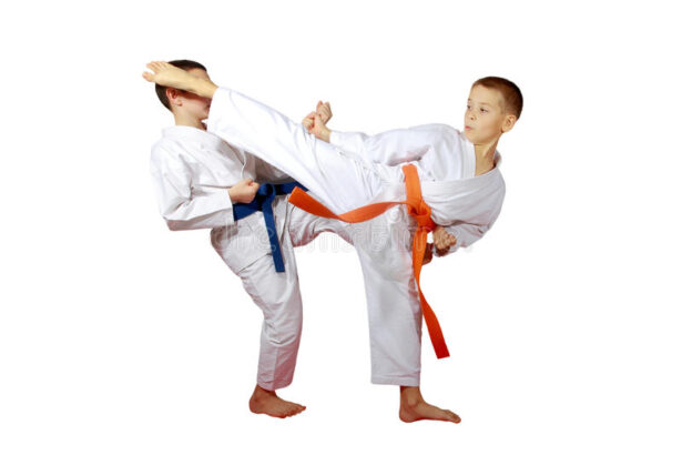 judo 19